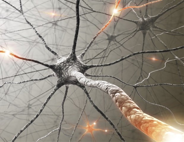 Cerebral organoid model provides insight into Ebola virus persistence mechanisms Cerebral organoid model provides insight into Ebola virus persistence mechanisms