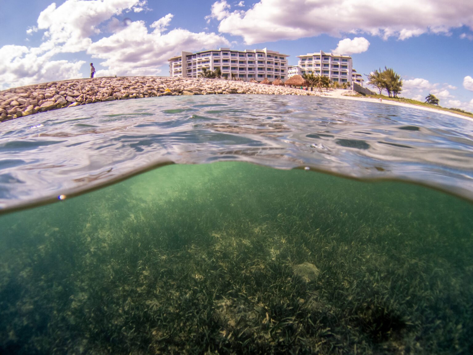 Global ocean conservation goals will fail without human rights