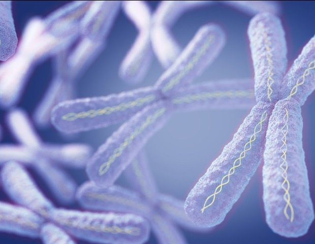 New study maps early gene disruption in Rett syndrome New study maps early gene disruption in Rett syndrome