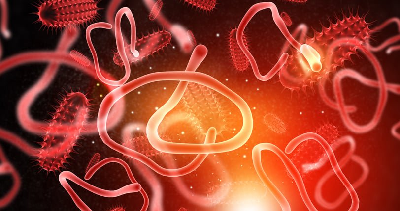 As the Ebola outbreak worsens, Merck is considering the use of the new coronavirus antiviral drug “Rajebrio” As the Ebola outbreak worsens, Merck is considering the use of the new coronavirus antiviral drug “Rajebrio”