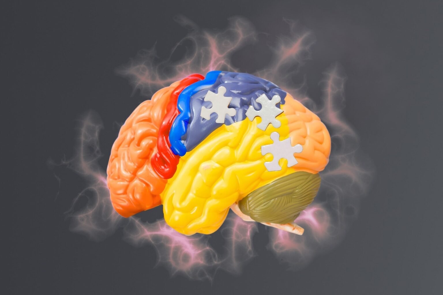 Why a new Alzheimer’s disease drug is dividing regulators around the world