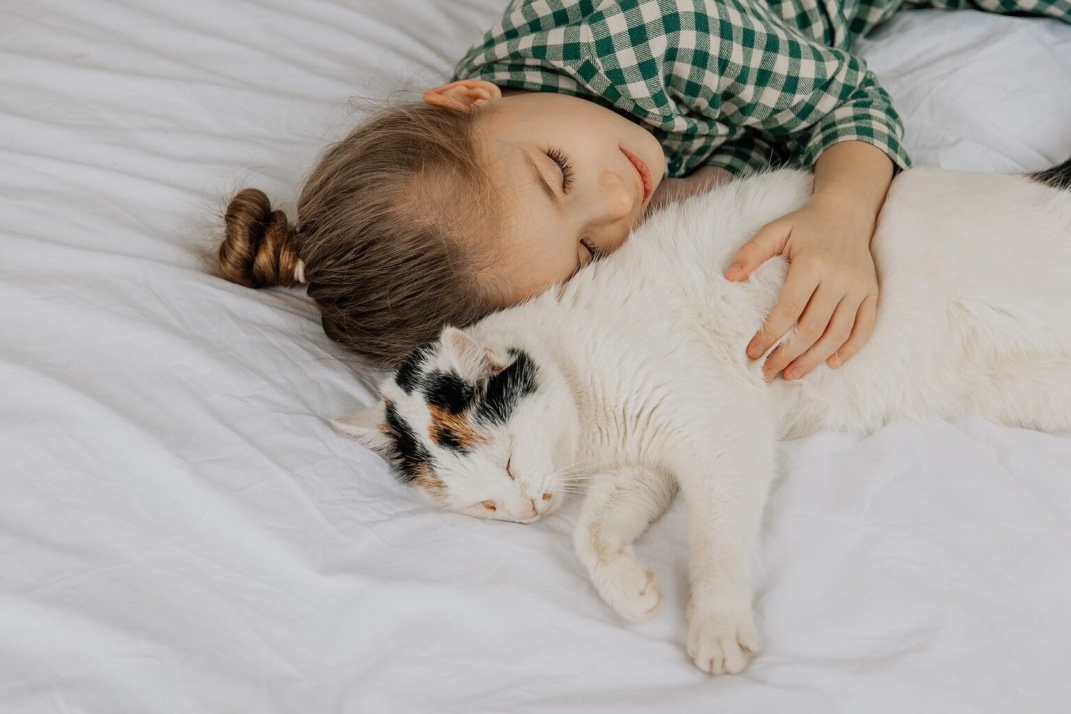 There is no relationship between cat ownership and asthma recurrence in children. There is no relationship between cat ownership and asthma recurrence in children.