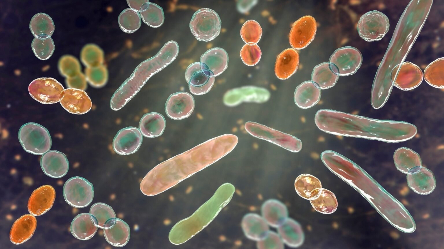 Gut microbes may help explain why obesity and type 2 diabetes are harder to reverse Gut microbes may help explain why obesity and type 2 diabetes are harder to reverse