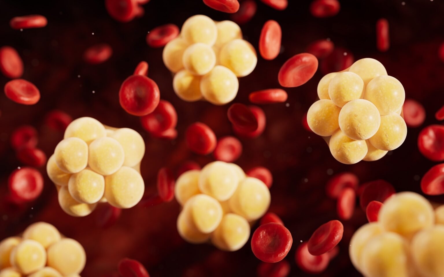 Elite athletes rich in vitamin D exhibit healthier lipid profiles