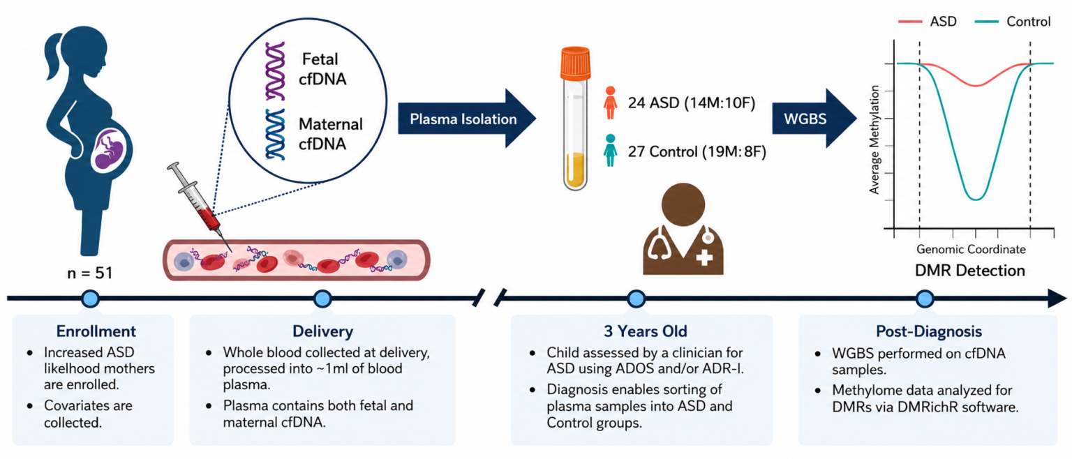 Maternal blood tests reveal clues to prenatal methylation linked to autism risk