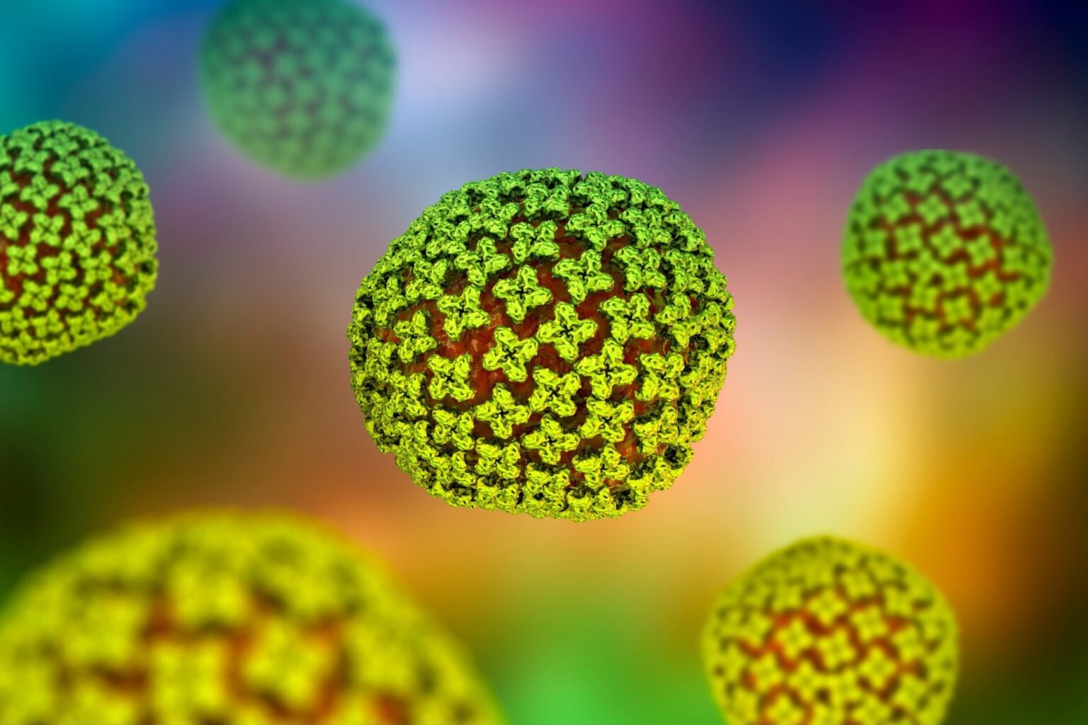 Scientists discover 70 existing drugs to block deadly hantavirus infection