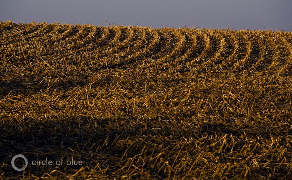 Political Surprise in the Corn Belt Political Surprise in the Corn Belt