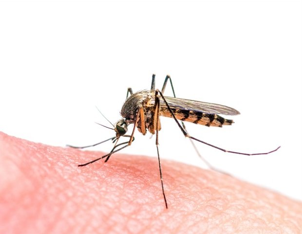 Global analysis reveals large regional disparities in net performance of pesticide treatments Global analysis reveals large regional disparities in net performance of pesticide treatments