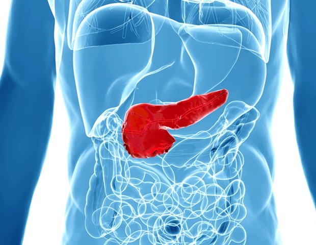 Cell map of healthy pancreas reveals origin of deadly tumor Cell map of healthy pancreas reveals origin of deadly tumor