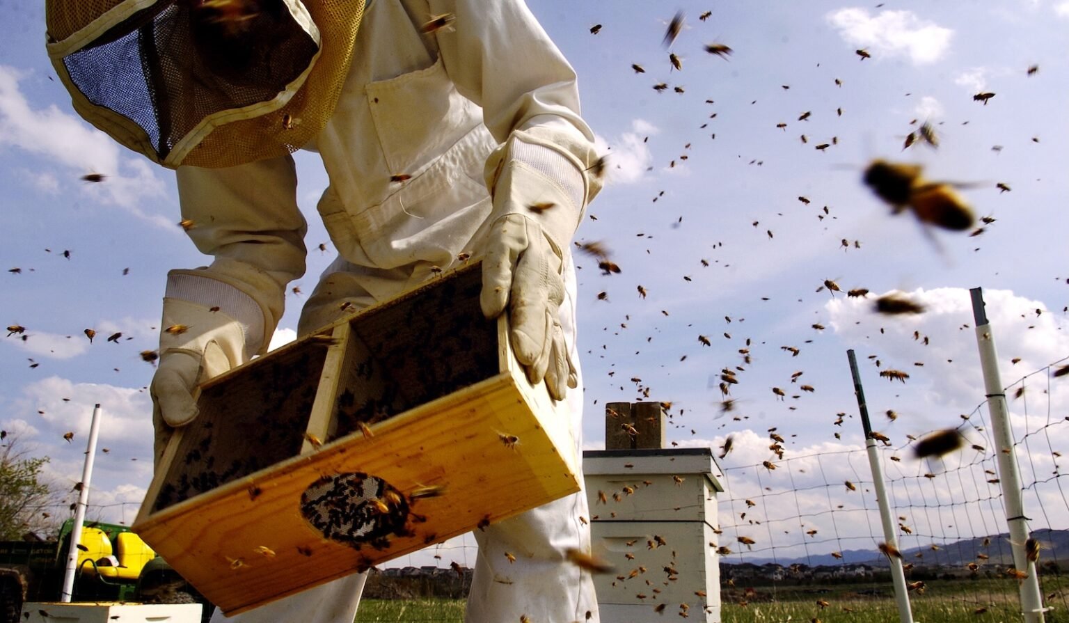 The fight to protect pollinators and people from “ubiquitous pesticides”