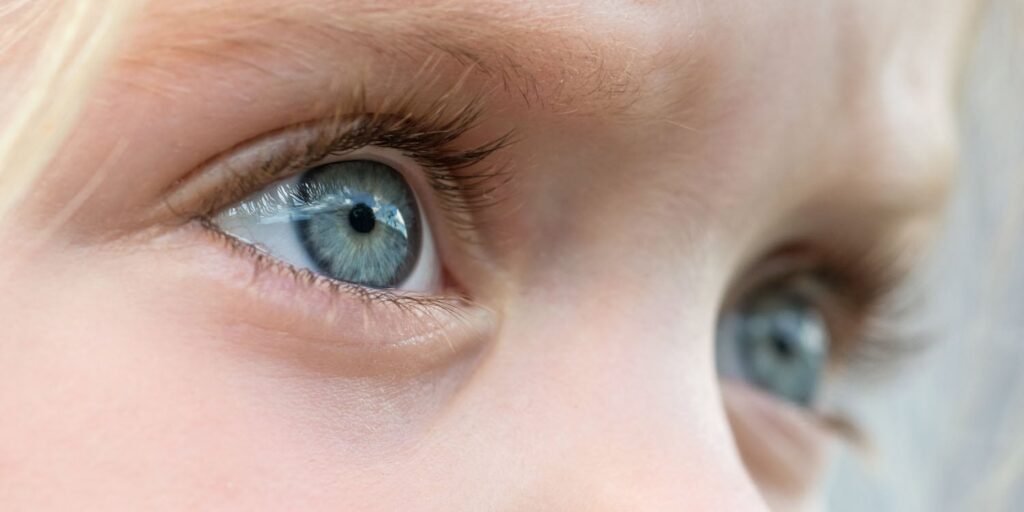 Eye-tracking study reveals visual preferences in young children with autism