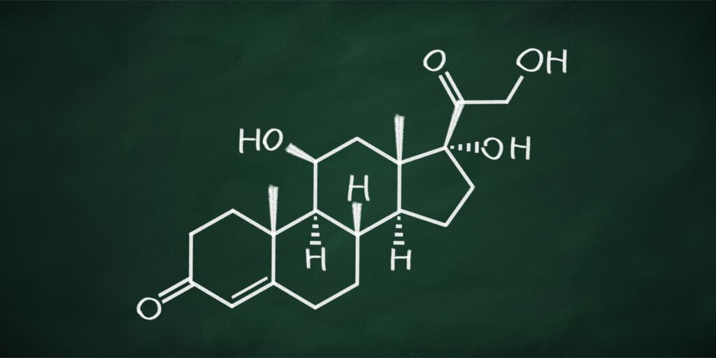 Scientists discover how cortisol helps solidify early neural connections Scientists discover how cortisol helps solidify early neural connections