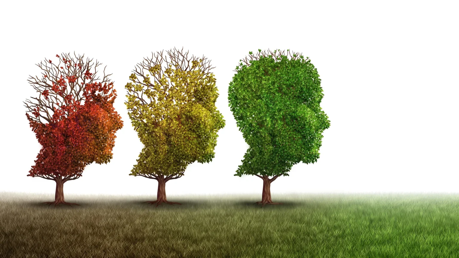 Copper drug removes toxic Alzheimer’s proteins and restores memory