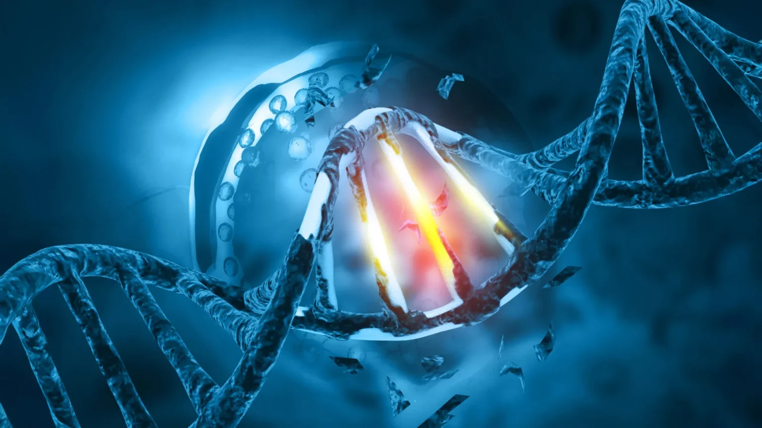 This DNA repair gene went out of control, exposing the weakness of cancer. This DNA repair gene went out of control, exposing the weakness of cancer.