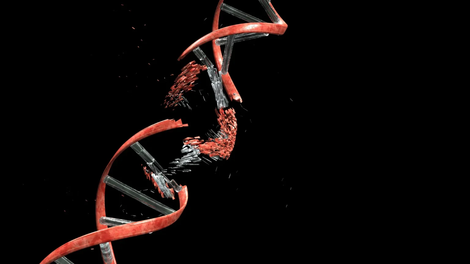 Scientists discover that neurons need to cut DNA to build the brain Scientists discover that neurons need to cut DNA to build the brain