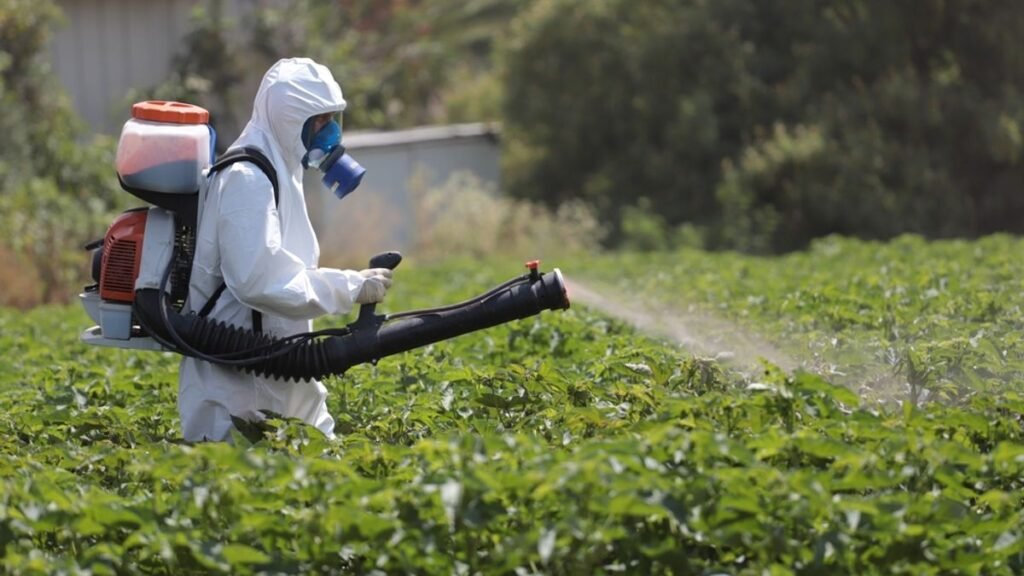 Is there a link between pesticides and cancer? Mixtures of chemicals can pose risks