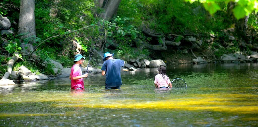 Microplastics are ubiquitous in Pennsylvania waters, but the tide may be turning Microplastics are ubiquitous in Pennsylvania waters, but the tide may be turning