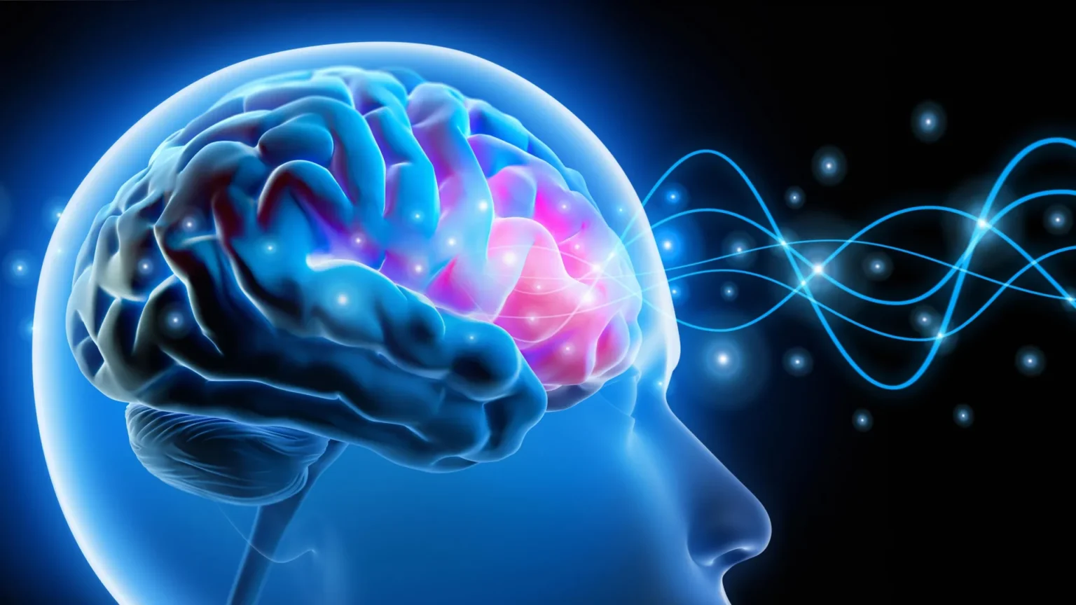 Scientists relieve anxiety by repairing tiny brain circuits