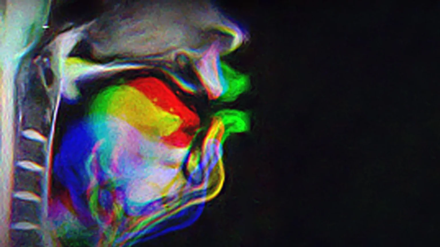 New brain research reveals how speech learning works differently than we thought New brain research reveals how speech learning works differently than we thought