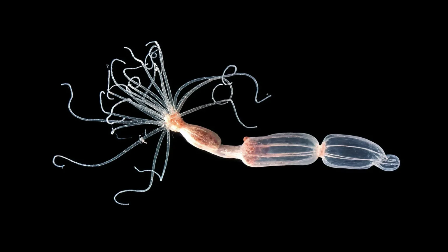Scientists discover a completely different way to fight the virus