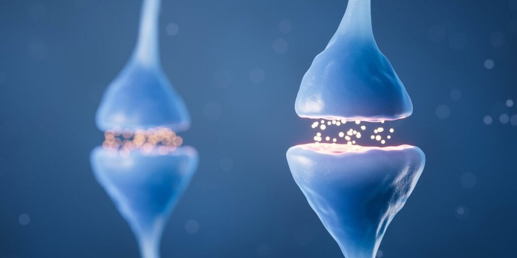 Dopamine determines how long sexual drive remains suppressed after stress