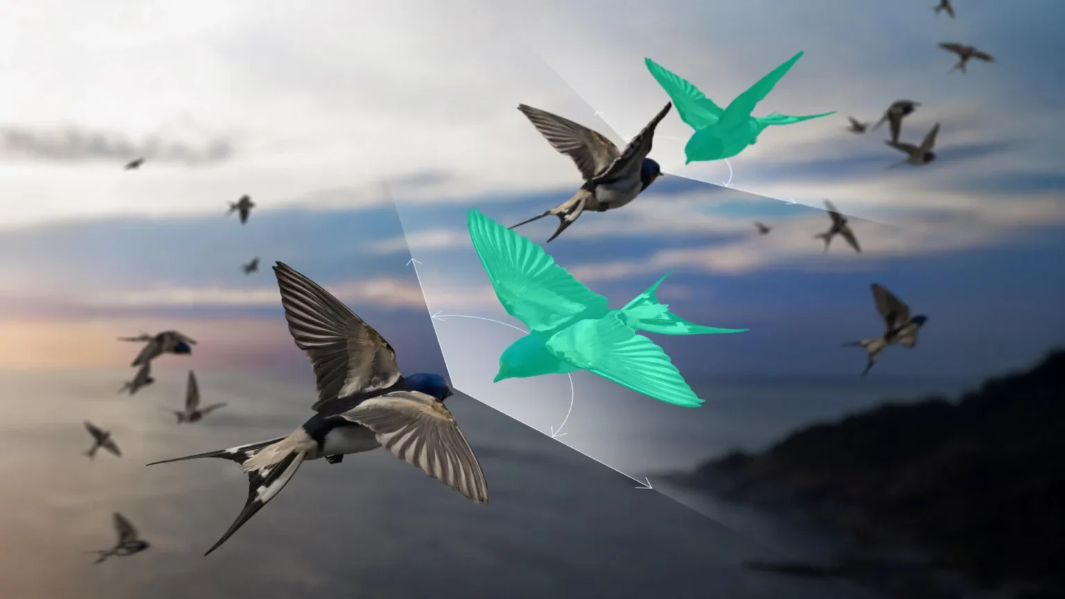 Scientists have discovered a way to explain flocks of birds that ‘defies’ Newton’s third law Scientists have discovered a way to explain flocks of birds that ‘defies’ Newton’s third law
