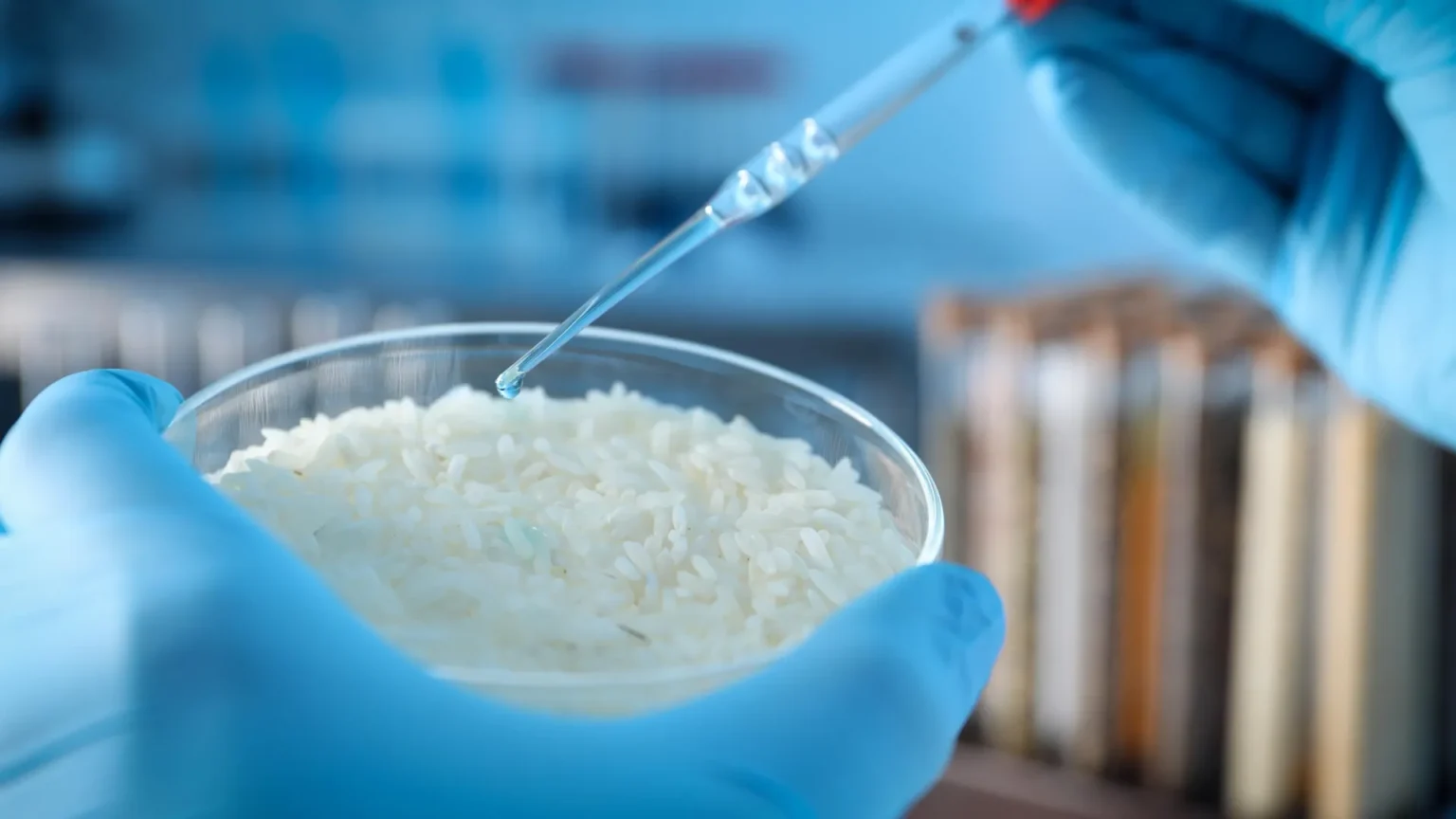 Scientists discover strange properties of rice and turn it into smart material