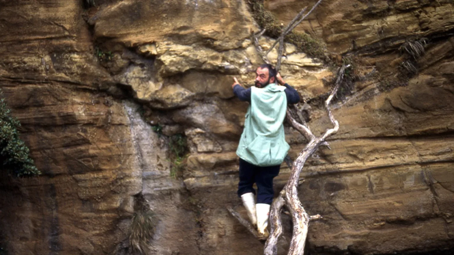 Lost notebook that solved the mystery of a 55 million-year-old fossil
