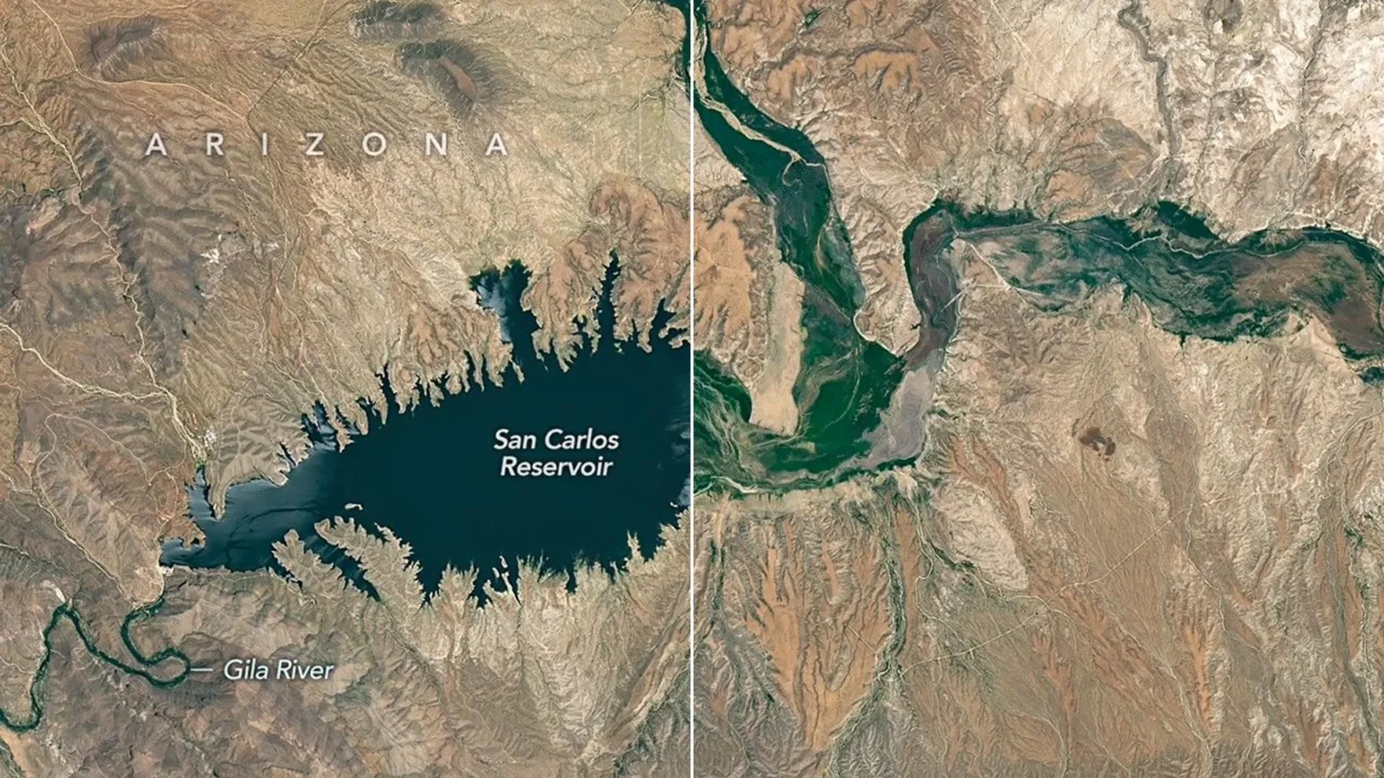 Large numbers of fish die in Arizona reservoir due to snow collapse, almost disappearing