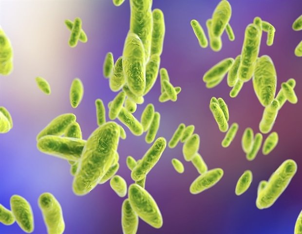 One Health framework guides sustainable control of bacterial zoonoses worldwide One Health framework guides sustainable control of bacterial zoonoses worldwide