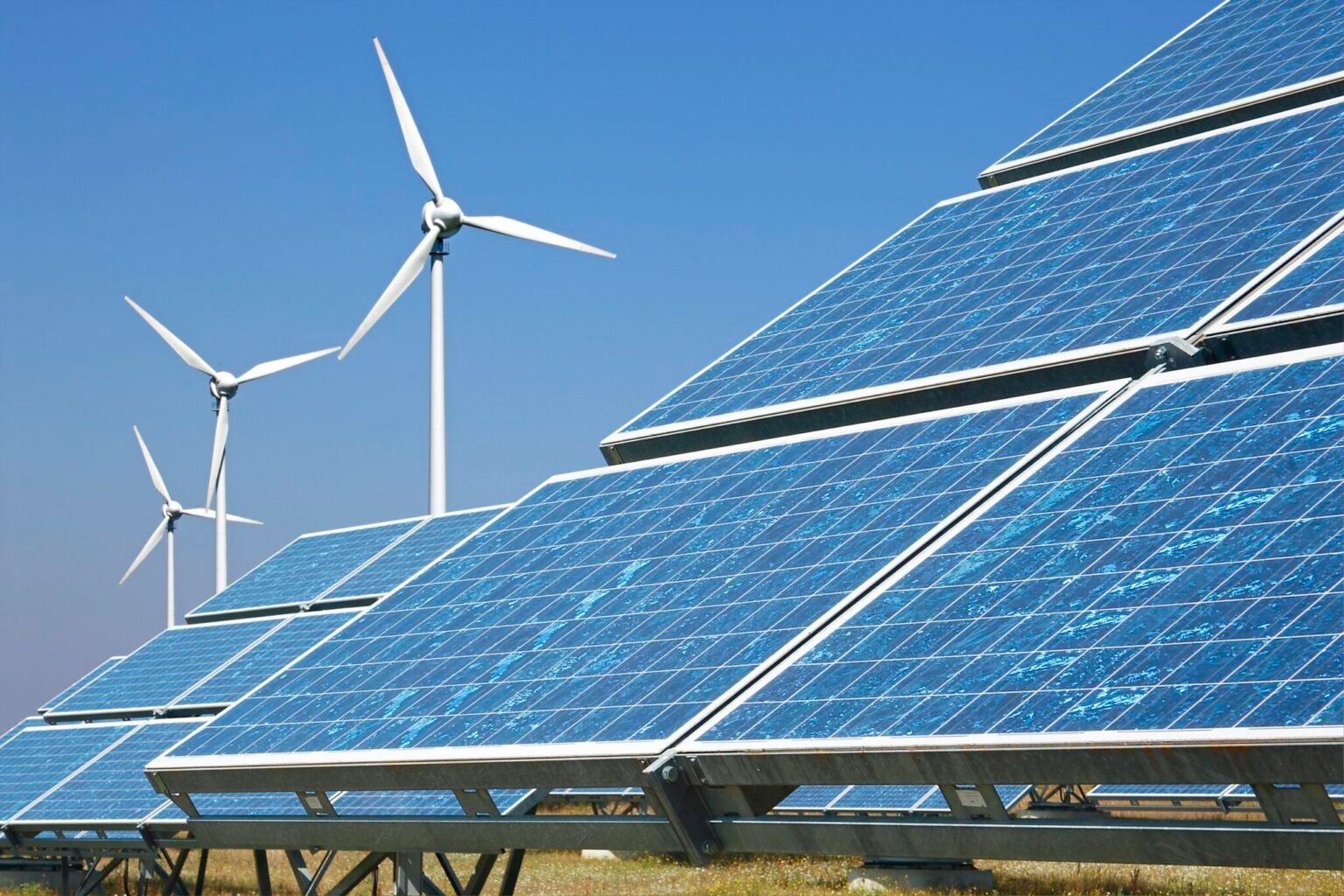 Solar power has minimal impact on North Carolina farmland, new study finds • NC Newsline