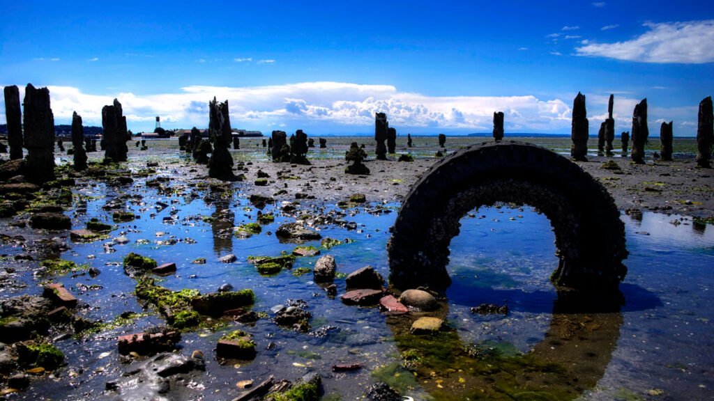 What tires leave behind can be food for poisonous fish