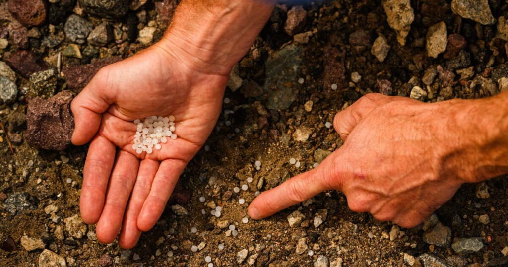 Nurdle numbers show extent of small plastic bead contamination in San Diego County and beyond