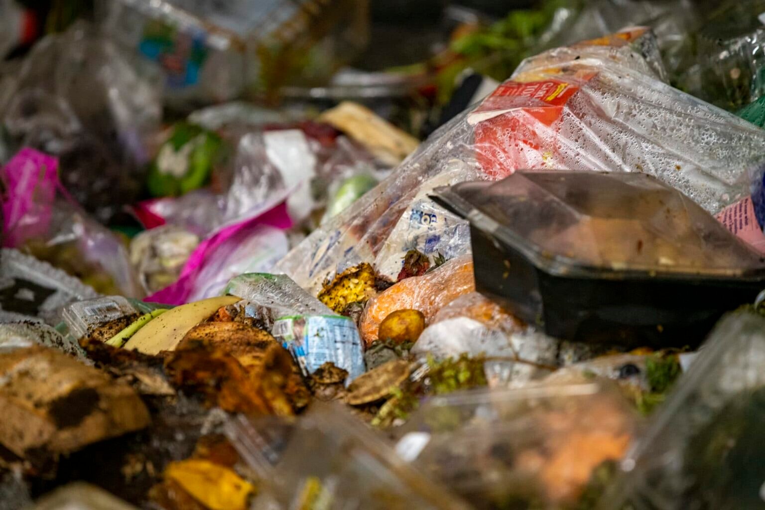 Recycling food waste is good for the climate, but can add microplastics to the soil, study finds