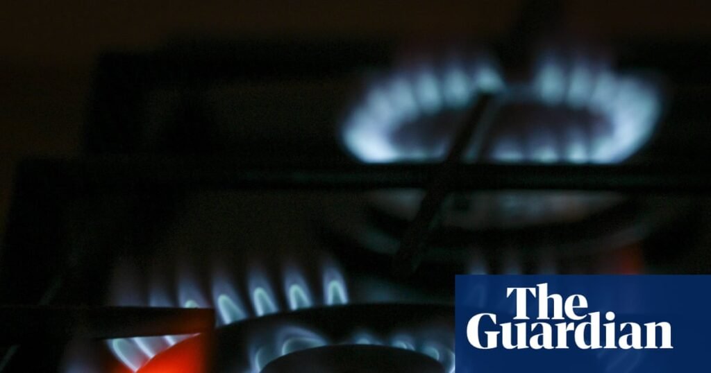 Replacing your gas stove can help asthma sufferers as much as some medications, US experts find | Asthma