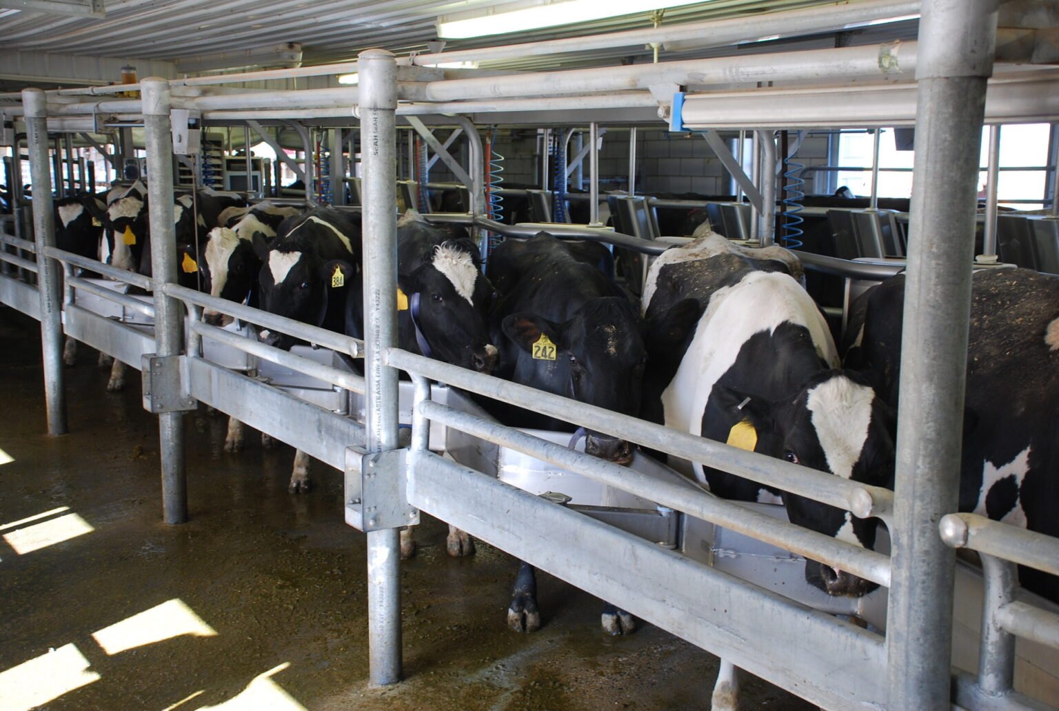 Study finds manure digesters are spurring California dairy farm expansion Study finds manure digesters are spurring California dairy farm expansion