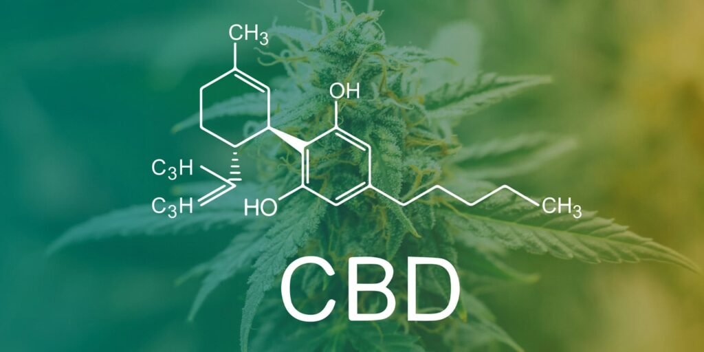 Cannabidiol has no significant effect on treating psychotic disorders, new study finds