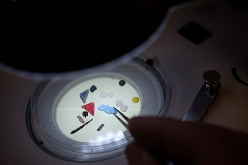High levels of microplastics found in heart attack survivors High levels of microplastics found in heart attack survivors