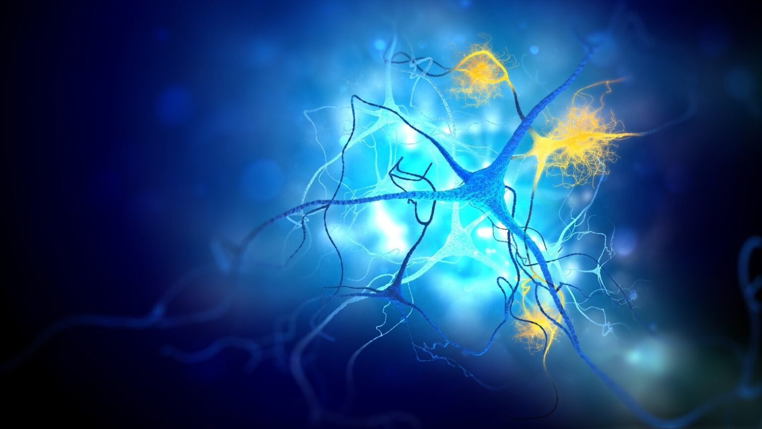 Blood circRNAs may predict Alzheimer’s disease before symptoms appear