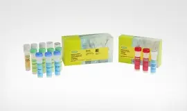 Bio-Rad launches Vericheck ddPCR kit compatible with QX700 platform for biopharmaceutical quality control and cell and gene therapy workflows Bio-Rad launches Vericheck ddPCR kit compatible with QX700 platform for biopharmaceutical quality control and cell and gene therapy workflows