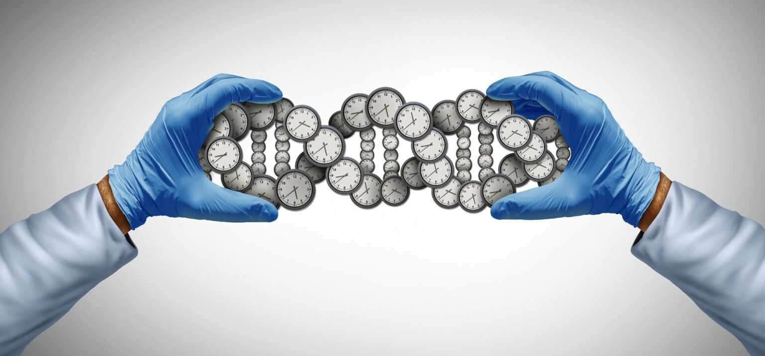 Five epigenetic clocks reveal common and distinct signals of aging