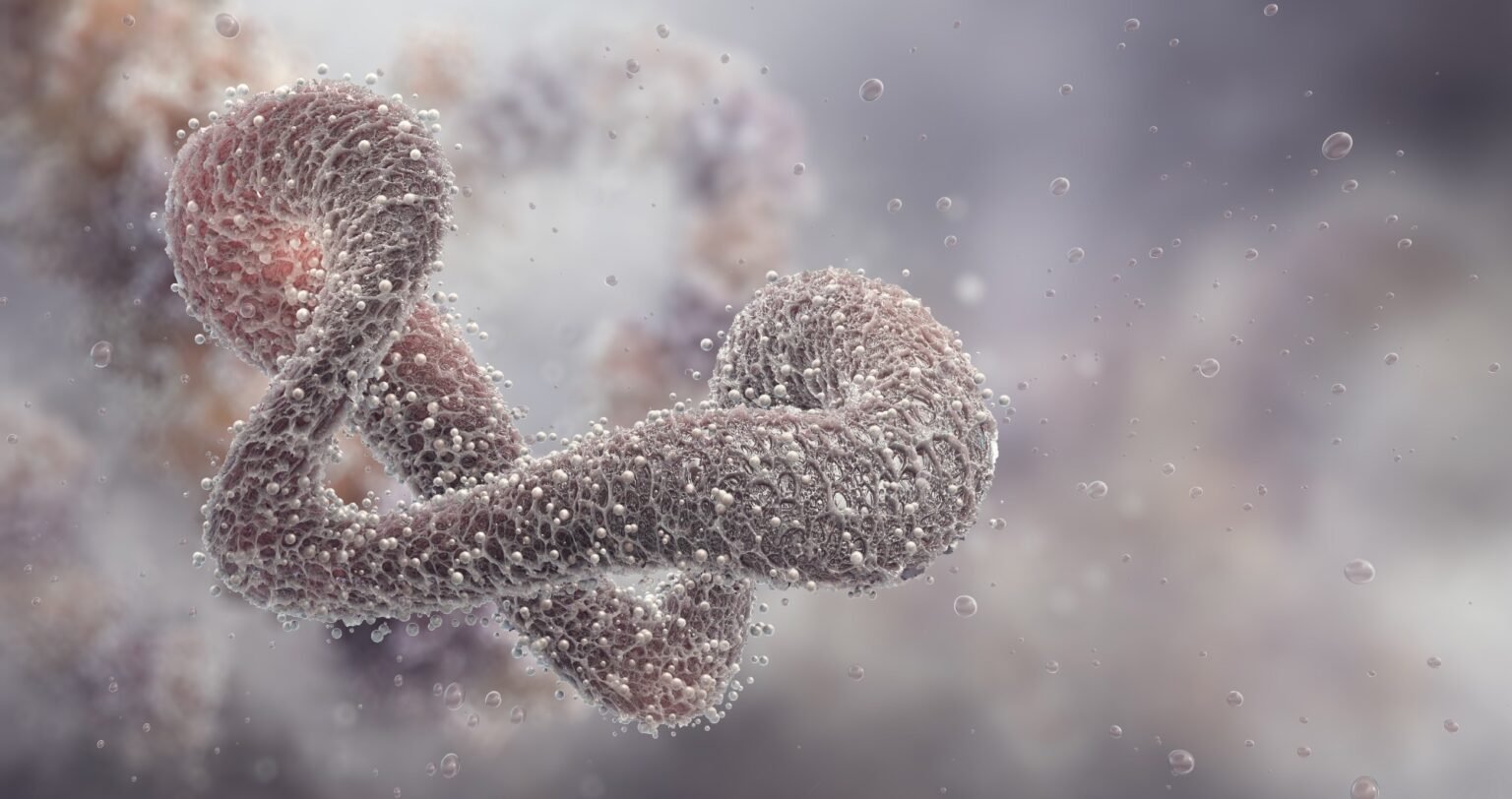 AI redesign allows enzymes to evolve beyond their natural limits