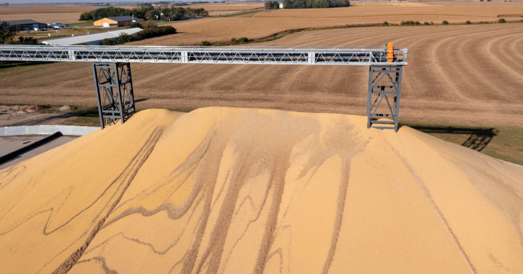 The surprising relationship between Roundup and industrial meat The surprising relationship between Roundup and industrial meat