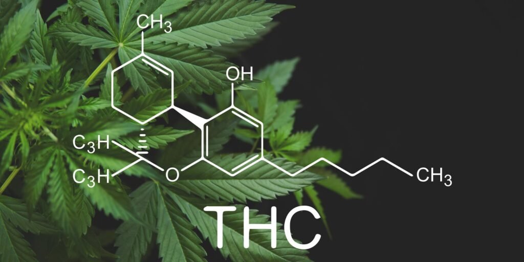 Prenatal THC exposure causes teenage binge drinking in female rats