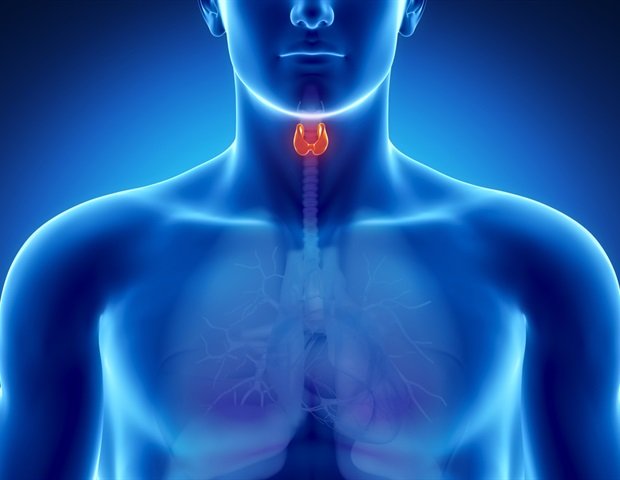 Two interconnected signaling pathways drive papillary thyroid cancer progression Two interconnected signaling pathways drive papillary thyroid cancer progression