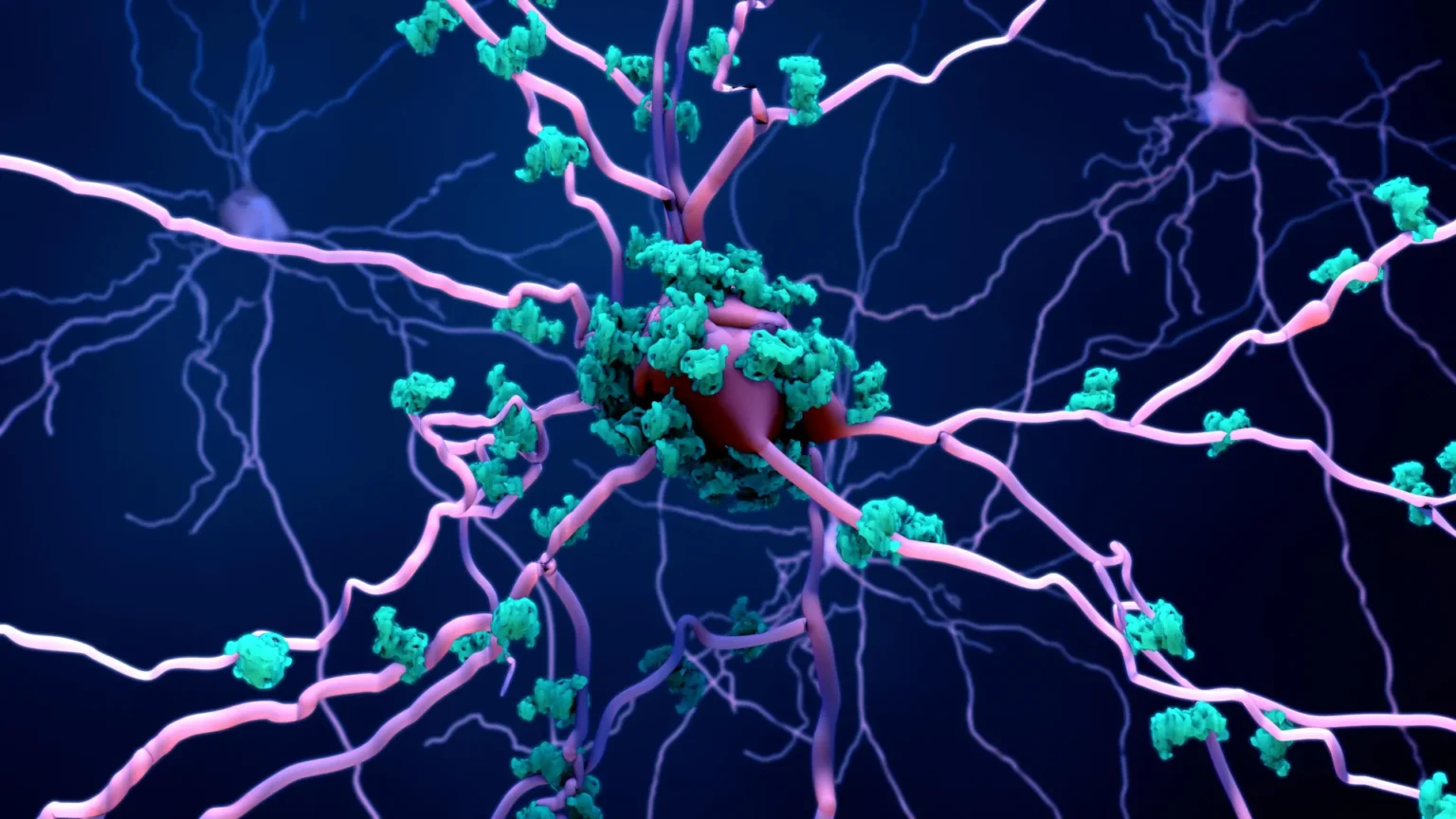 Scientists may have finally discovered how Alzheimer’s disease kills brain cells Scientists may have finally discovered how Alzheimer’s disease kills brain cells