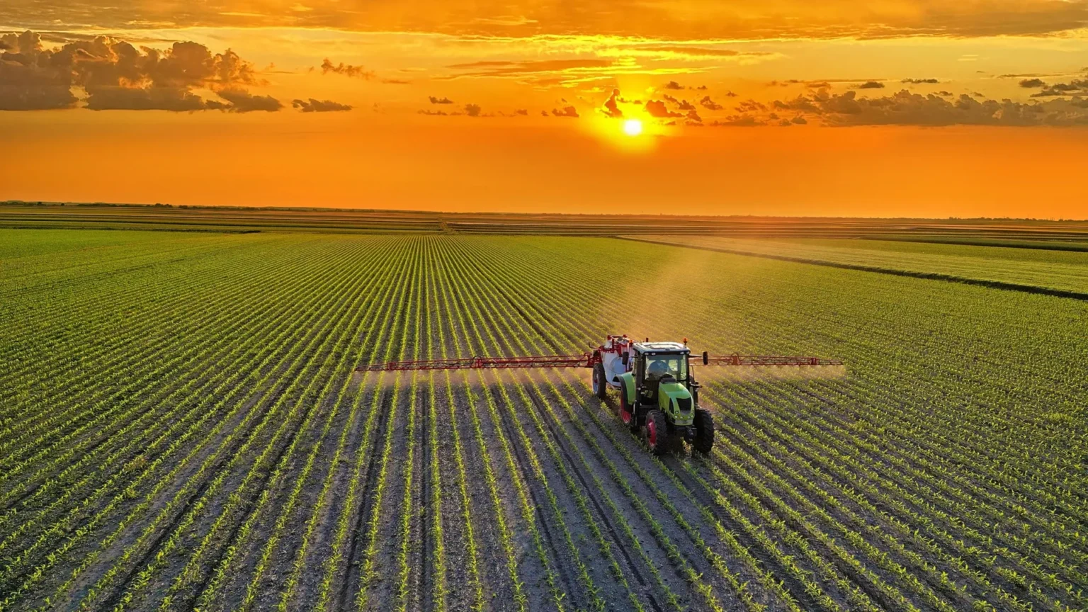 Healthier global diets could reduce agricultural emissions by 85% Healthier global diets could reduce agricultural emissions by 85%