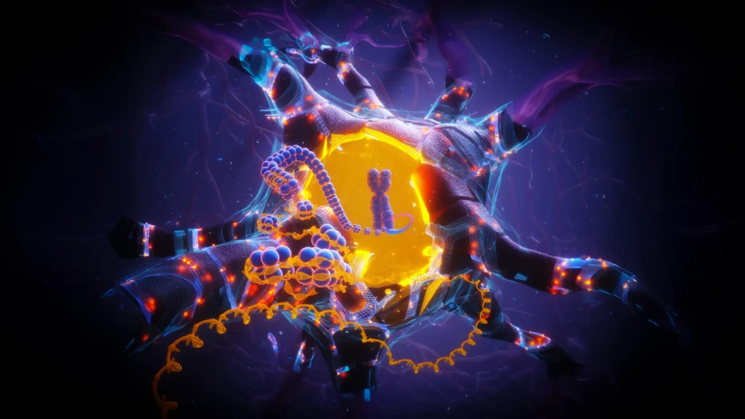 APOE2 may protect the brain from Alzheimer’s disease and aging APOE2 may protect the brain from Alzheimer’s disease and aging
