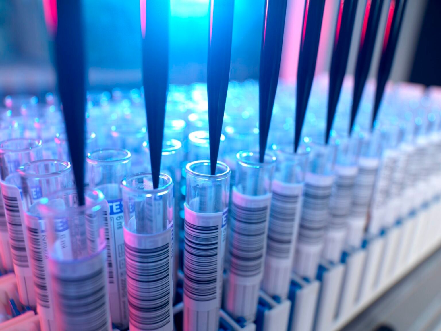 NC budget sets aside  million for new PFAS research, but results likely to be classified • NC Newsline