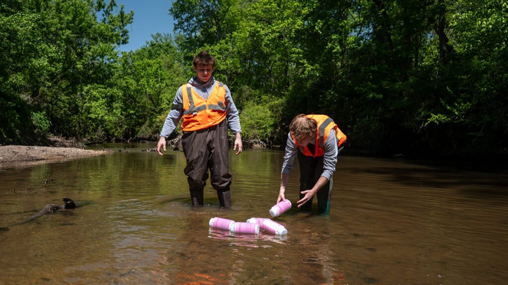 You can help the scientist by finding a special bottle in the water You can help the scientist by finding a special bottle in the water